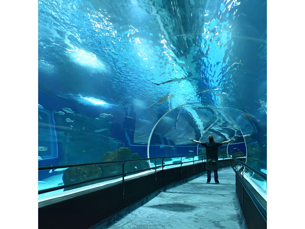 AquaRio Rio de Janeiro Tickets Only