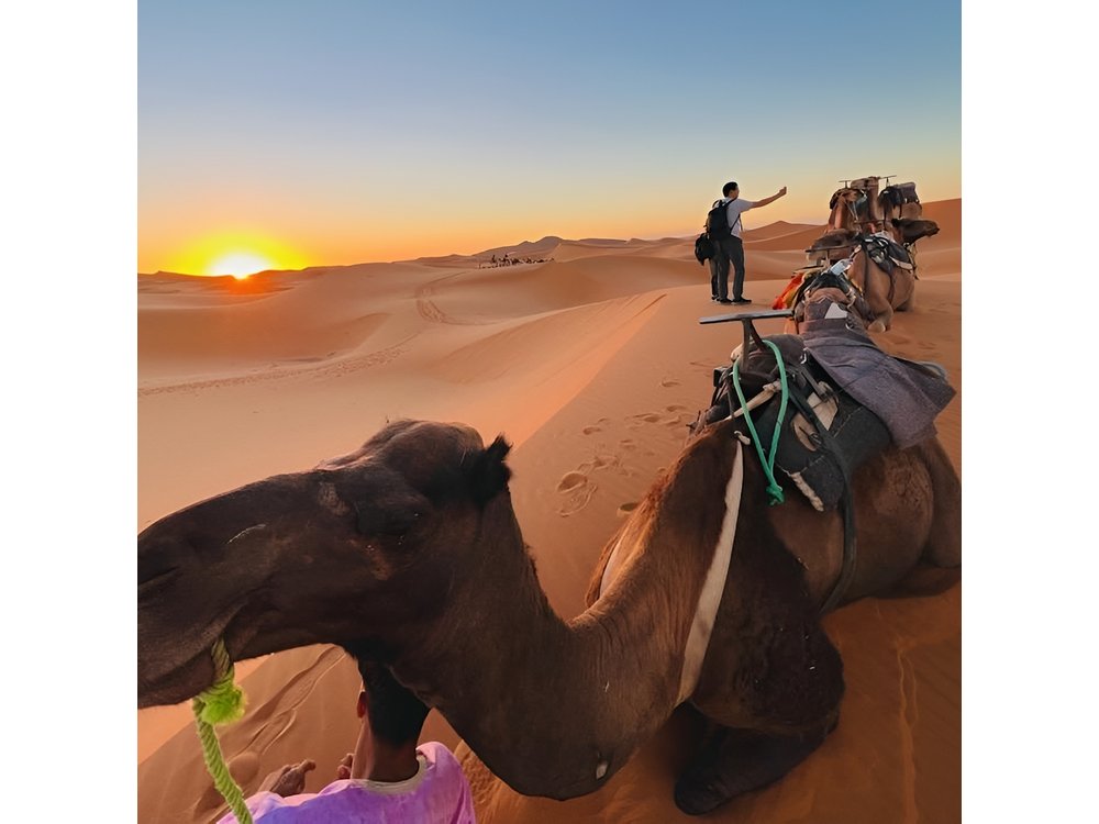 3-Day from Fes to Marrakech A Memorable Moroccan Adventure