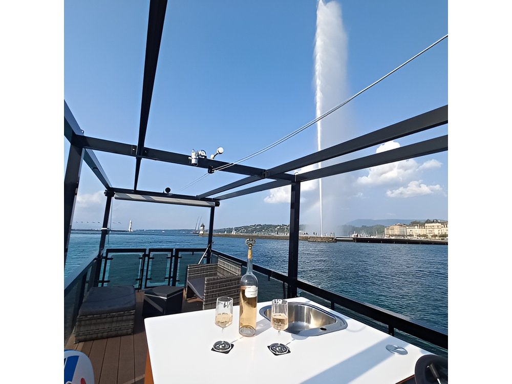 Geneva: Private Cruise on Lake Geneva with Aperitif