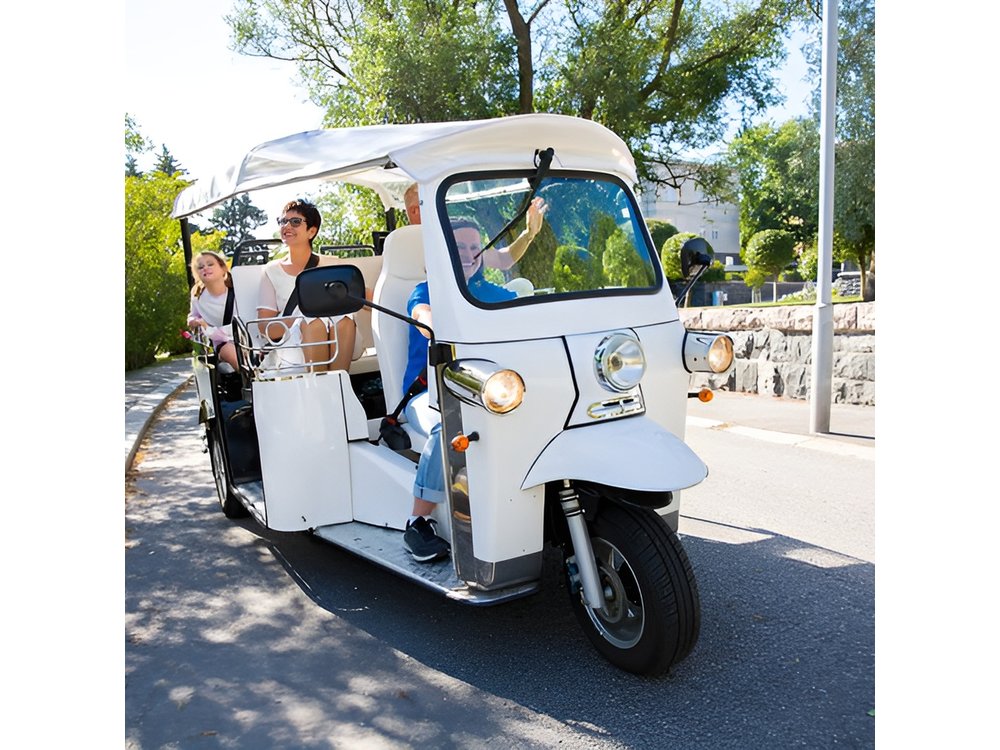 Private Electric Tuk Tuk Tour in Rome