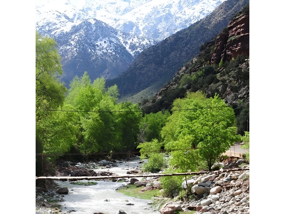 Atlas Mountains & Ourika Valley Private Day Trip From Marrakech