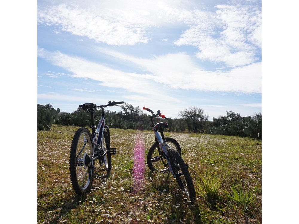 Cork & Prickly Pear Tour - Private Tour to the Heritage of Pepe Aromas