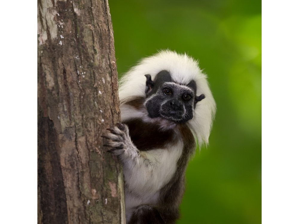 UTV Safari in a Wildlife-Filled Nature Reserve Near Cartagena