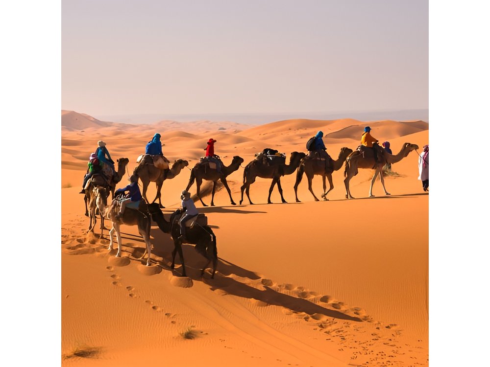 8D Morocco Luxury Private Tour From Casablanca By Imperial Cities