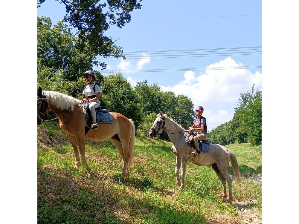 1 hour horseback ride in Valgraziosa Pisa
