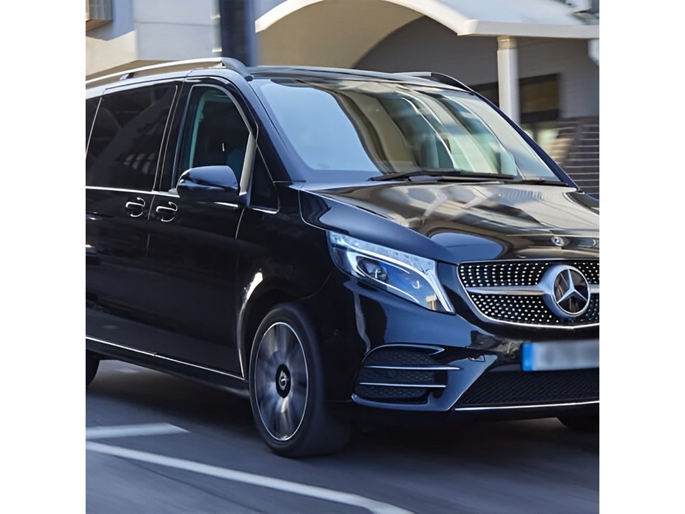 Departure by Private Minivan from Vienna to Vienna Airport VIE