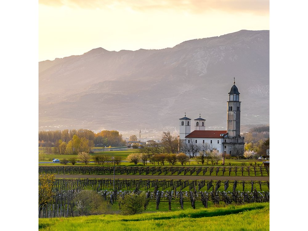Vipava Valley Wine Express Tour From Ljubljana