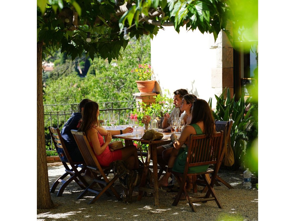 A Boutique Winery Experience E-Bike, Sail, or Car from Barcelona