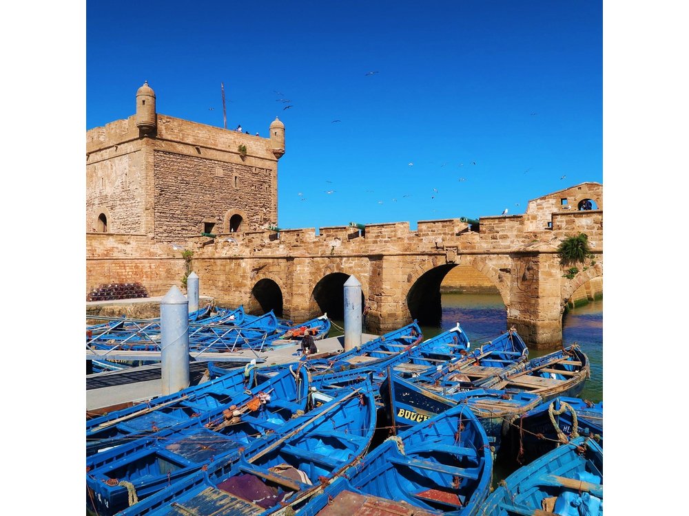 From Marrakech: Private Day Trip to Essaouira