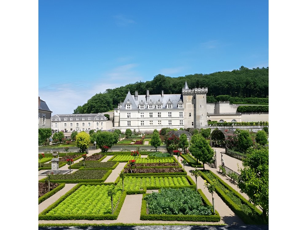 Loire Valley Half Day Wine Tour from Tours : 2 local wineries