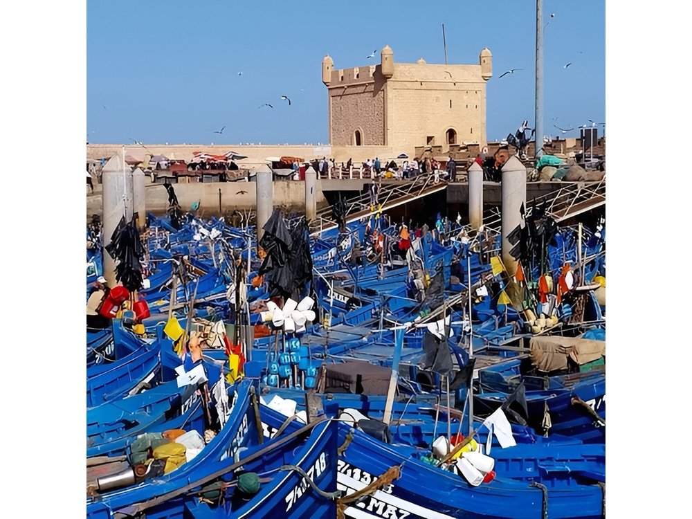 Private Day Tour to Essaouira from Marrakech