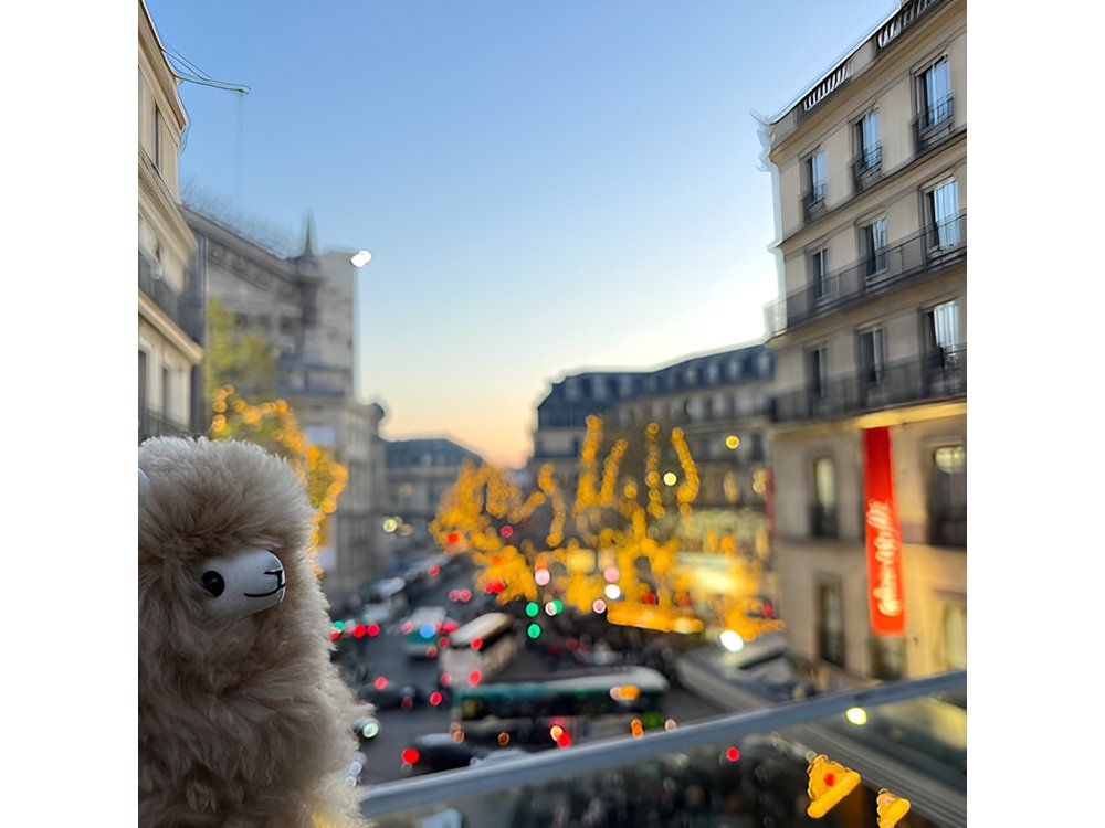 3-Hours Walking Tours Around Paris - Choose your own!