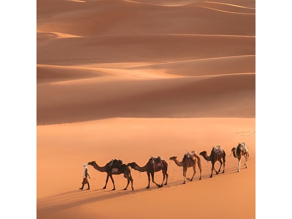 Fes To Marrakech: 3-Day Desert Tour