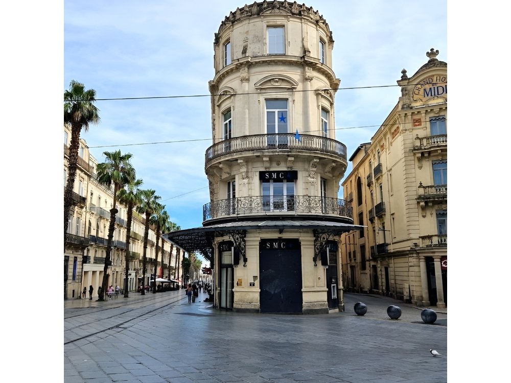 Montpellier Private Walking with a Local Guide