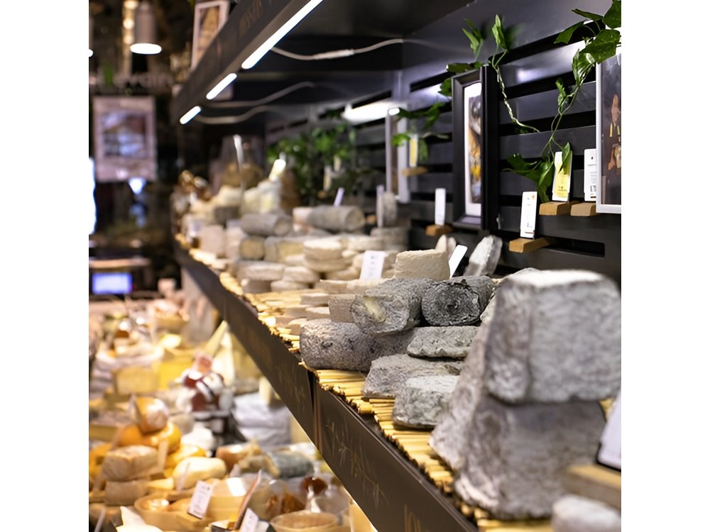 Full day Bordeaux Historic Gourmet Walking and Médoc Tour