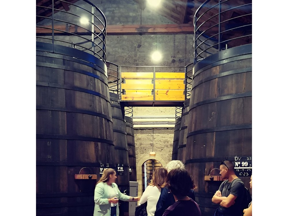 Half-Day Tour to 2 Wineries in Madrid and Chinchon Region