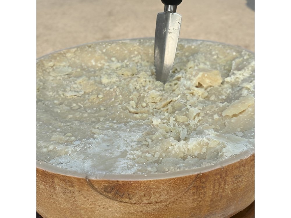 From Bologna: Parmesan Cheese & Balsamic Vinegar Tour+Lunch