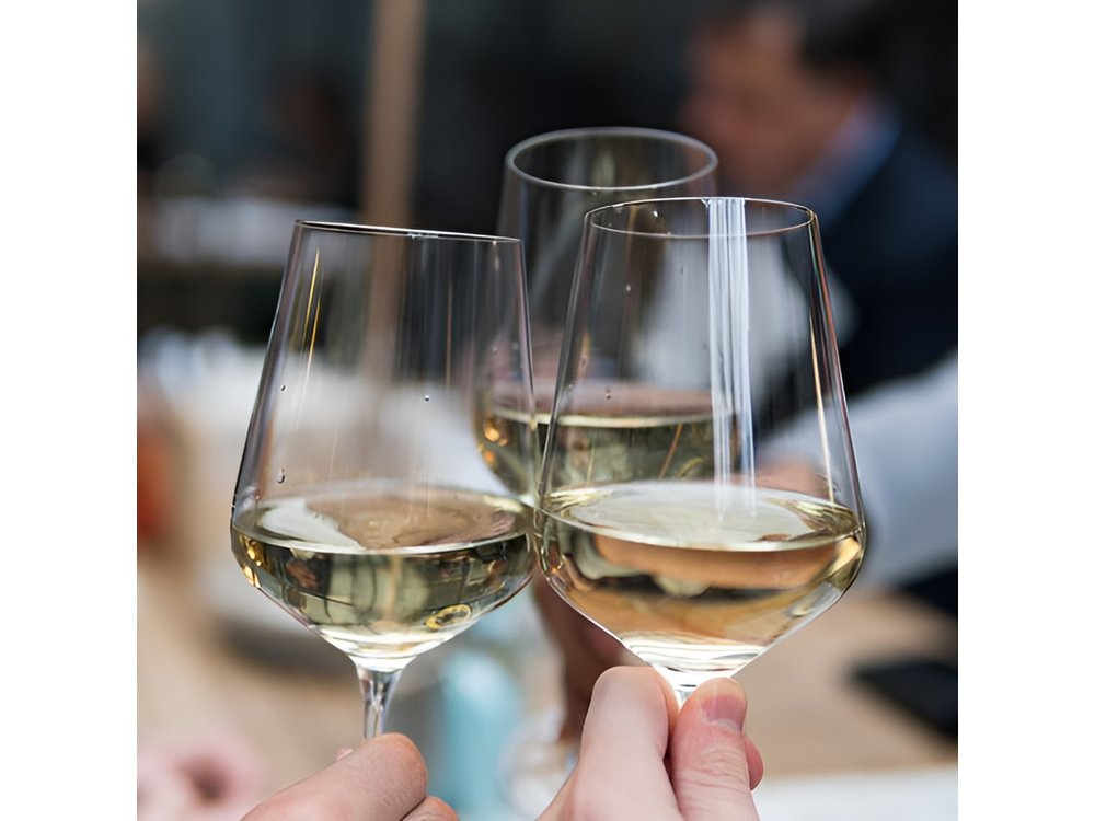Wine Tasting in Palermo, City of Buenos Aires.