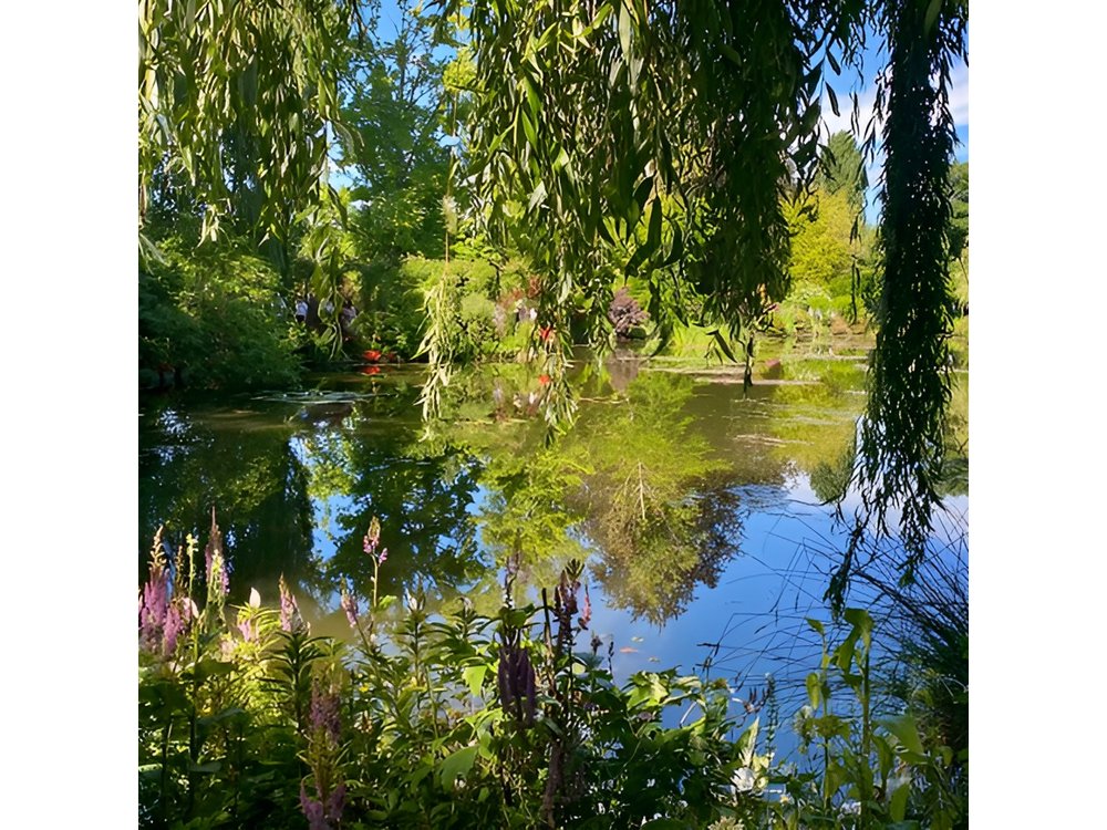Giverny Half-Day Small-Group Tour from Paris – Max 7 Guests