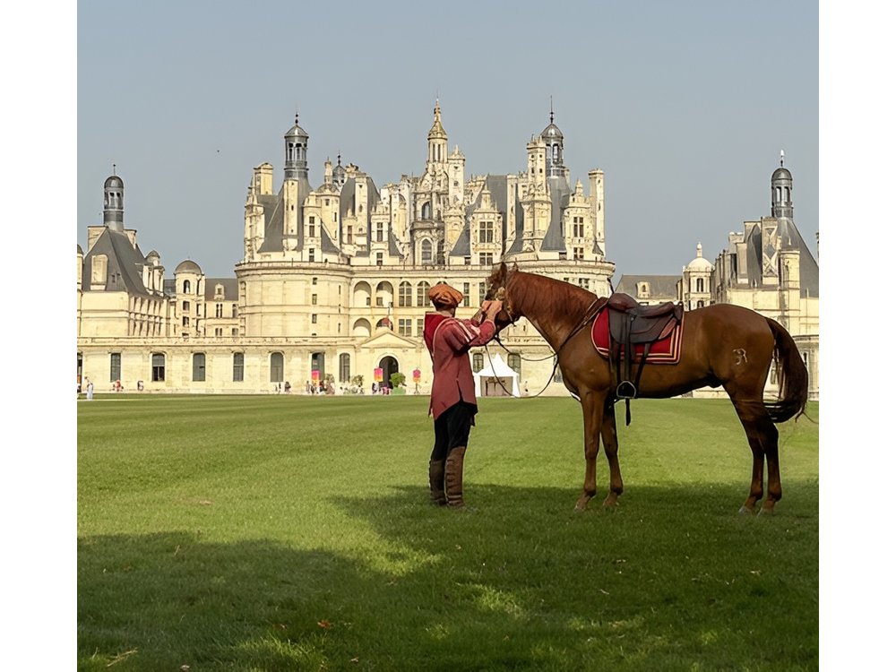 Loire Valley Castles Day Trip from Paris & Tasting with Pickup