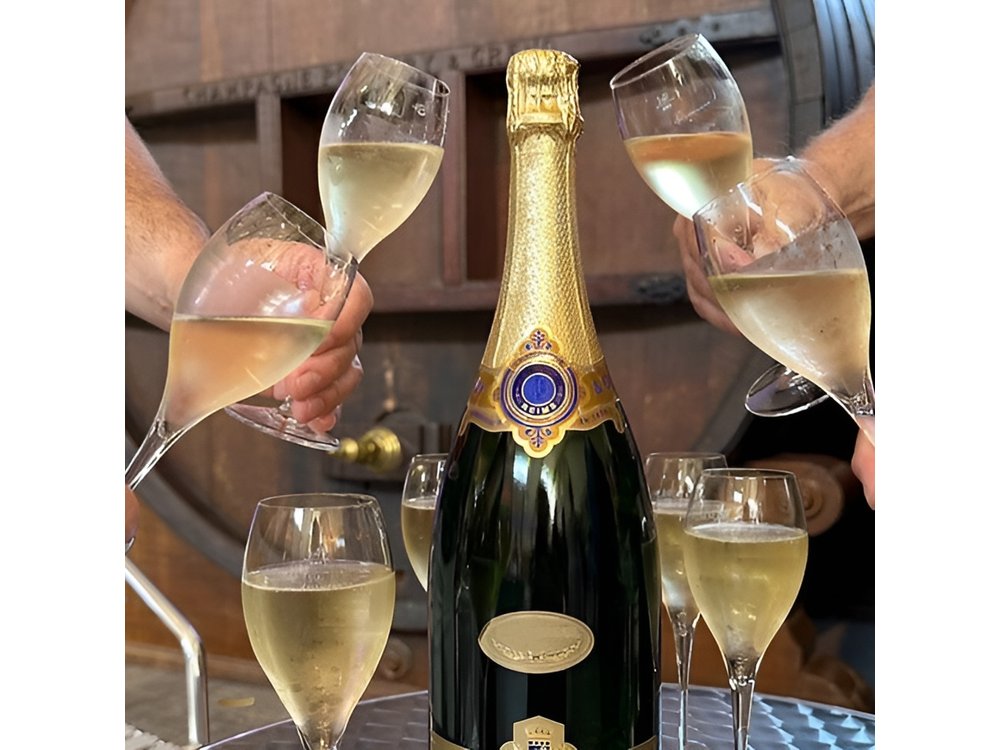 Champagne Day Trip from Reims including 9 Champagne Tastings