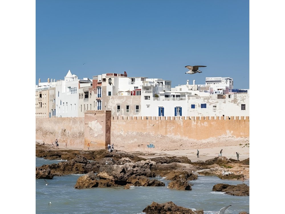 Full Day Trip To Essaouira Mogador From Marrakech
