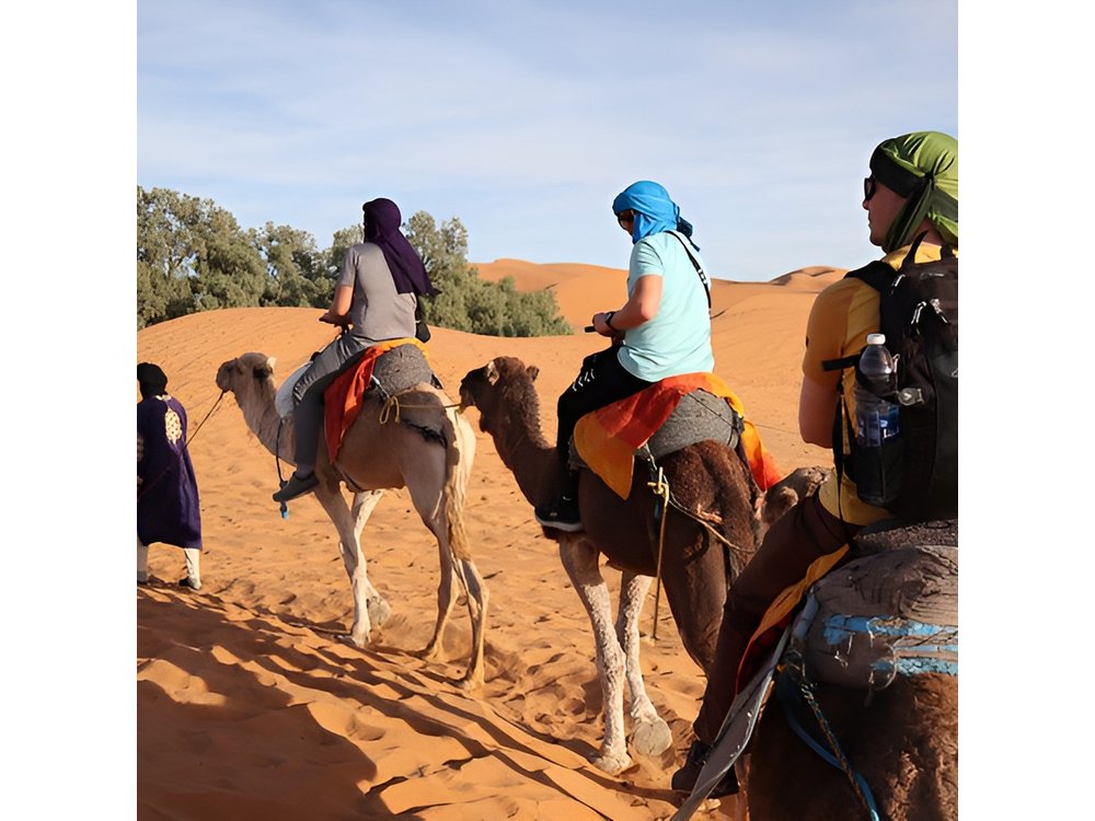 6 Days Deep South in Morocco and Desert Tour from Marrakech