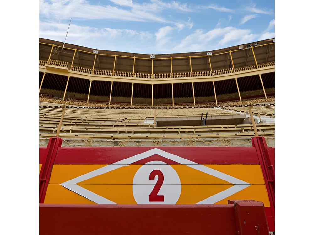 Private Guided Visit to the Alicante Bullring and Museum