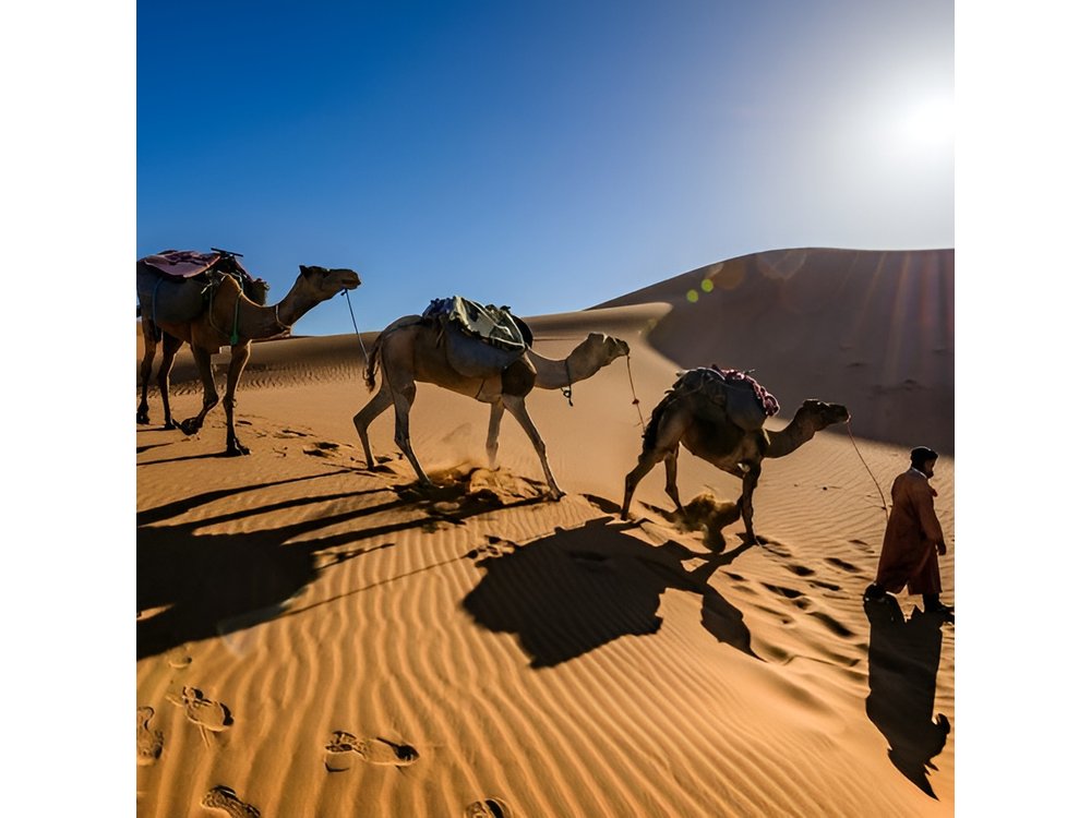 3 Days Desert Tour to Fes from Marrakech