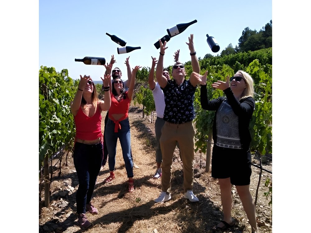 Douro Valley Small-Group Wine Tour with Lunch and River Cruise