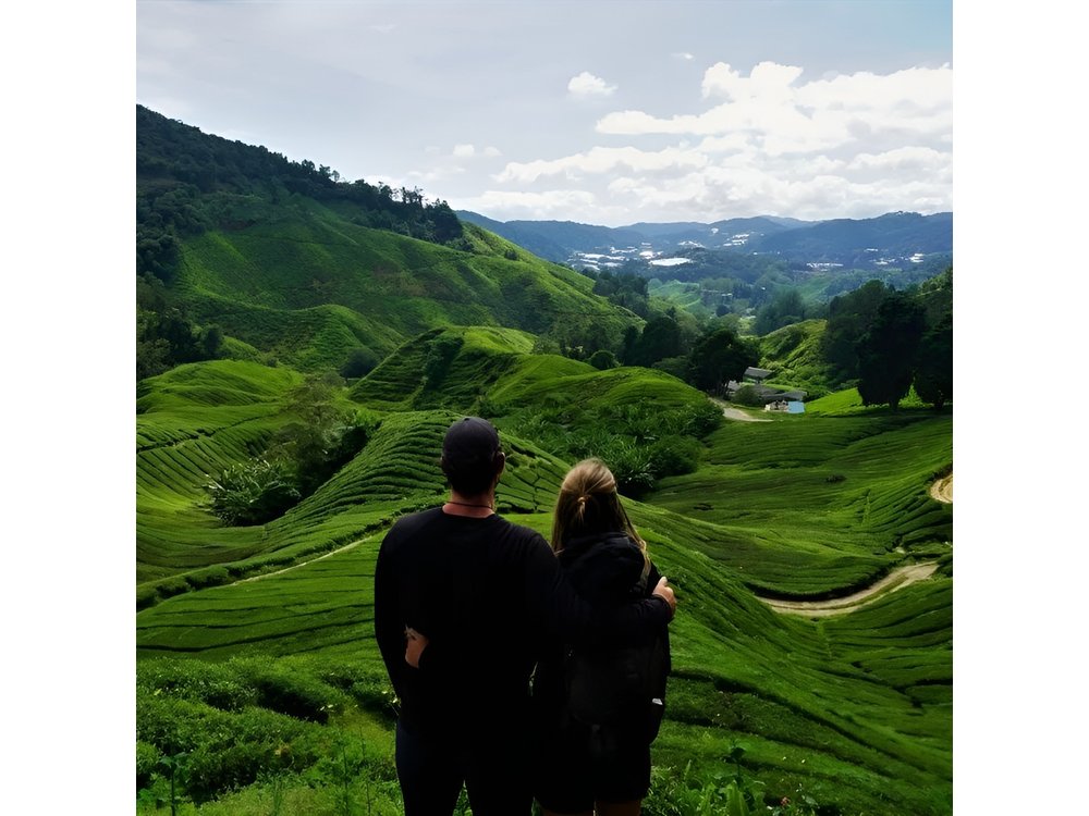 Full Day Cameron Highlands Adventure From Kuala Lumpur