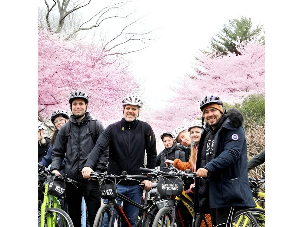 Washington DC Cherry Blossoms By Bike Tour