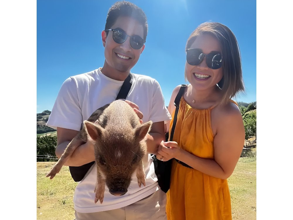 FARM STAY EXPERIENCE & DOZZA - Private Day Tour From Bologna