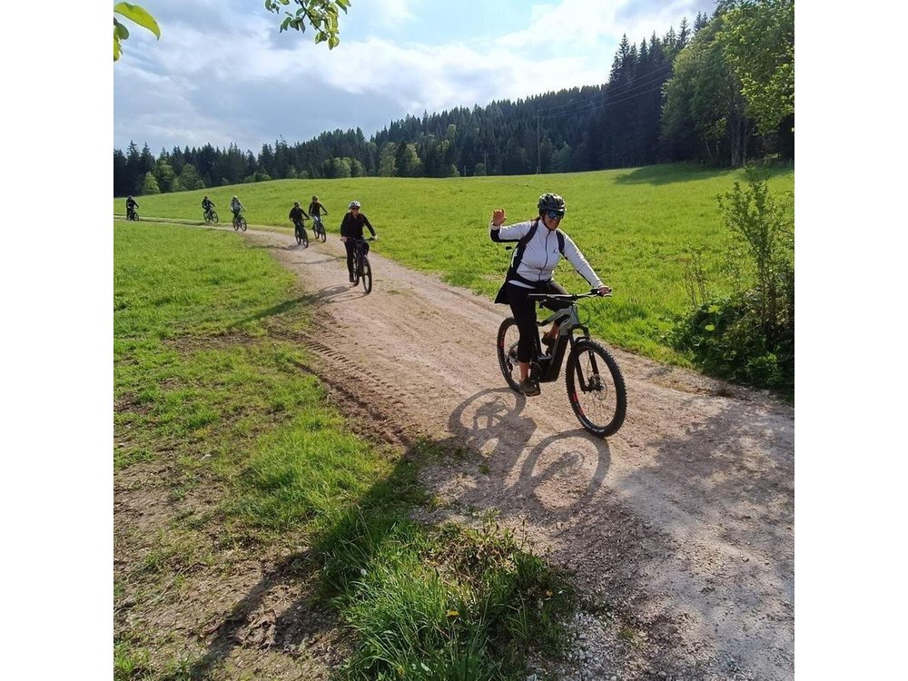 Guided e-bike tour of the alpine pastures in the Salzkammergut