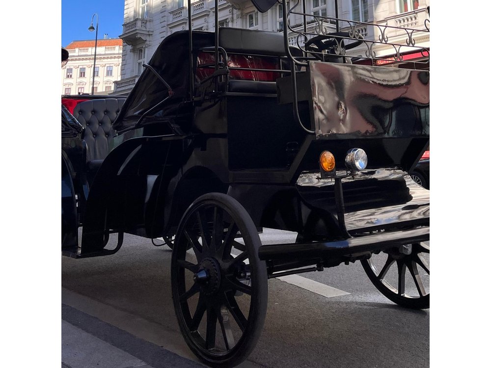 Vienna: 60 min. Royal E-Carriage Sightseeing Tour with Drinks