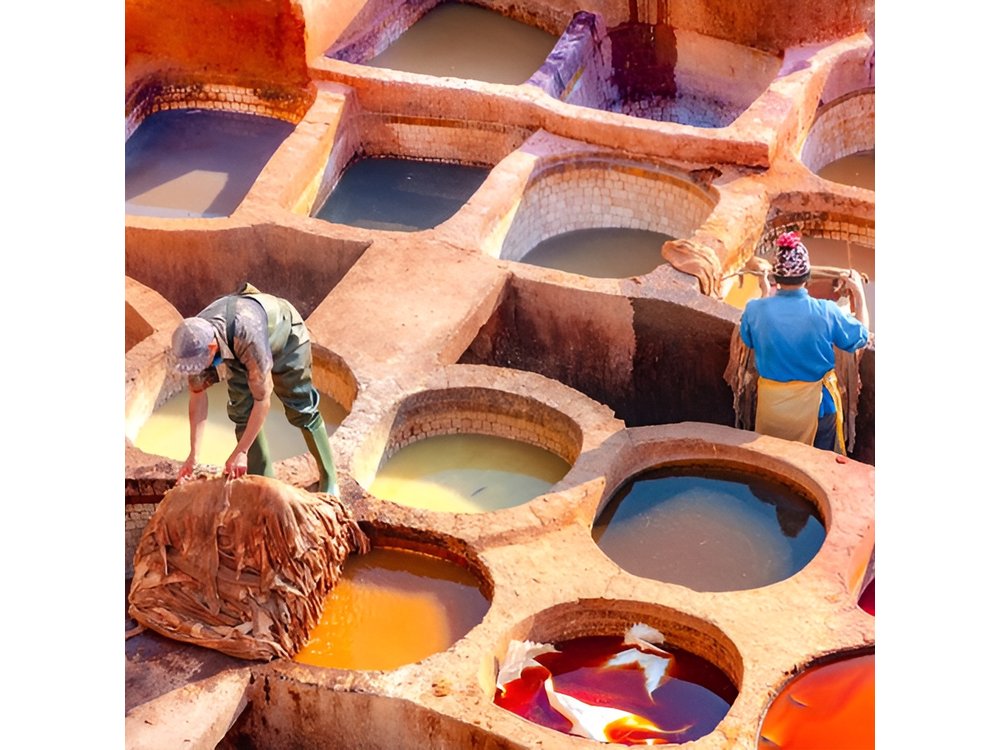 Private guided tour of Fez with lunch from Casablanca