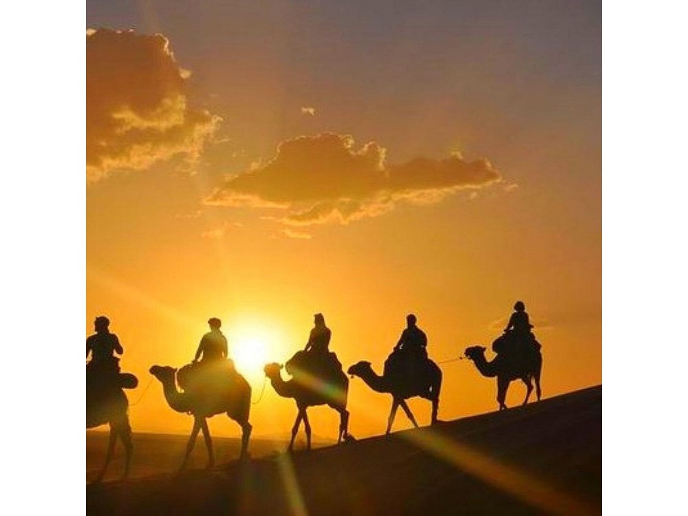 Camel Ride at Marrakech Desert Agafy with Dinner
