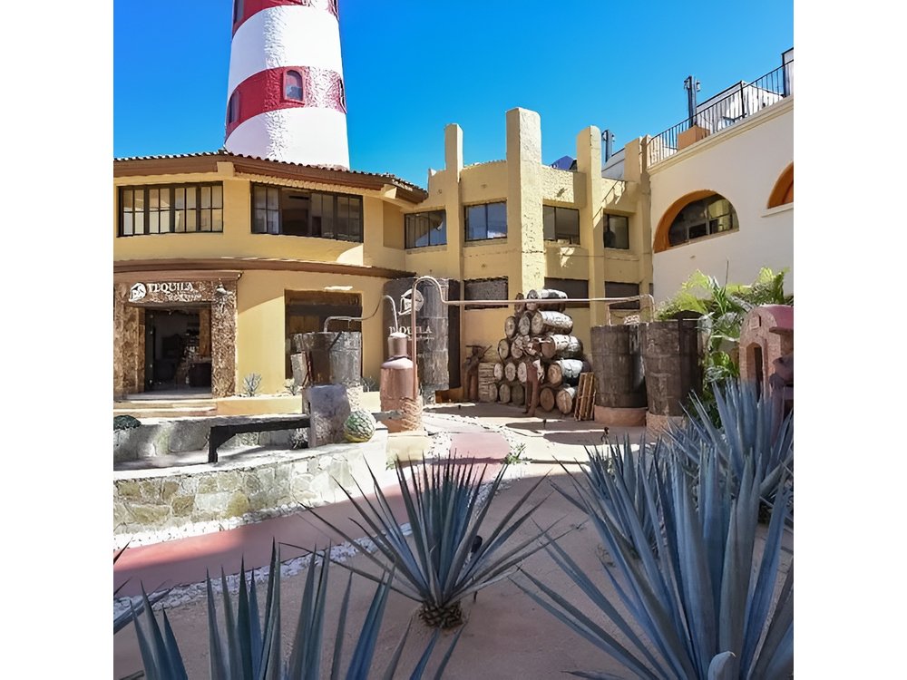 CityTour to San Jose, Cabo San Lucas and Arch Tour in Clearboat