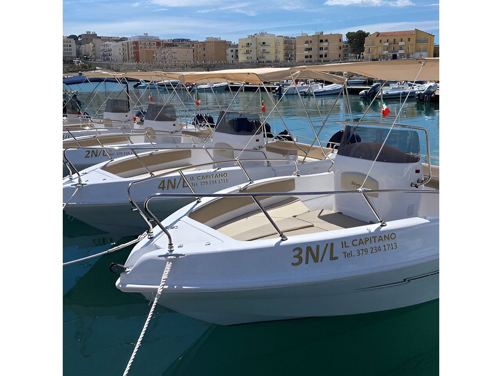 4 Hours Private Guided Boat Tour in Vieste