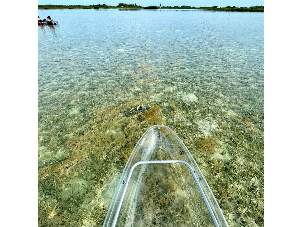 Guided Clear Kayak Eco-Tour Near Key West