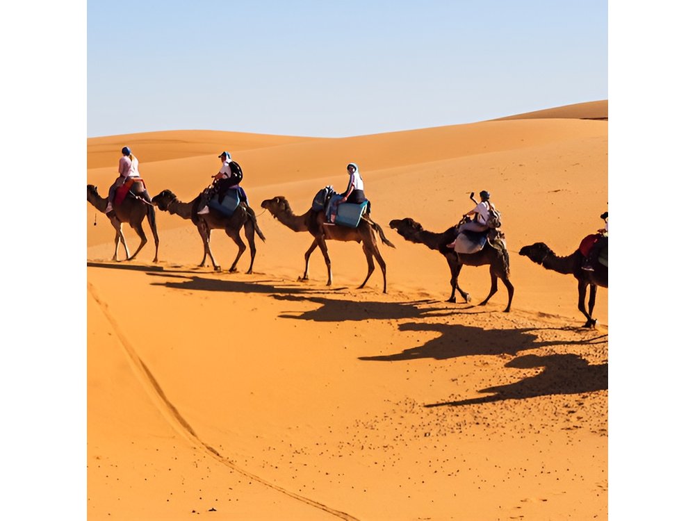 10 Day Desert Tour From Casablanca via the Imperial Cities