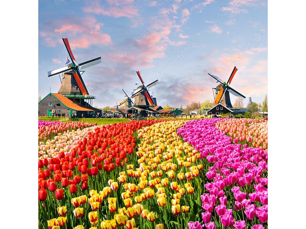 Private Countryside Tour From Amsterdam