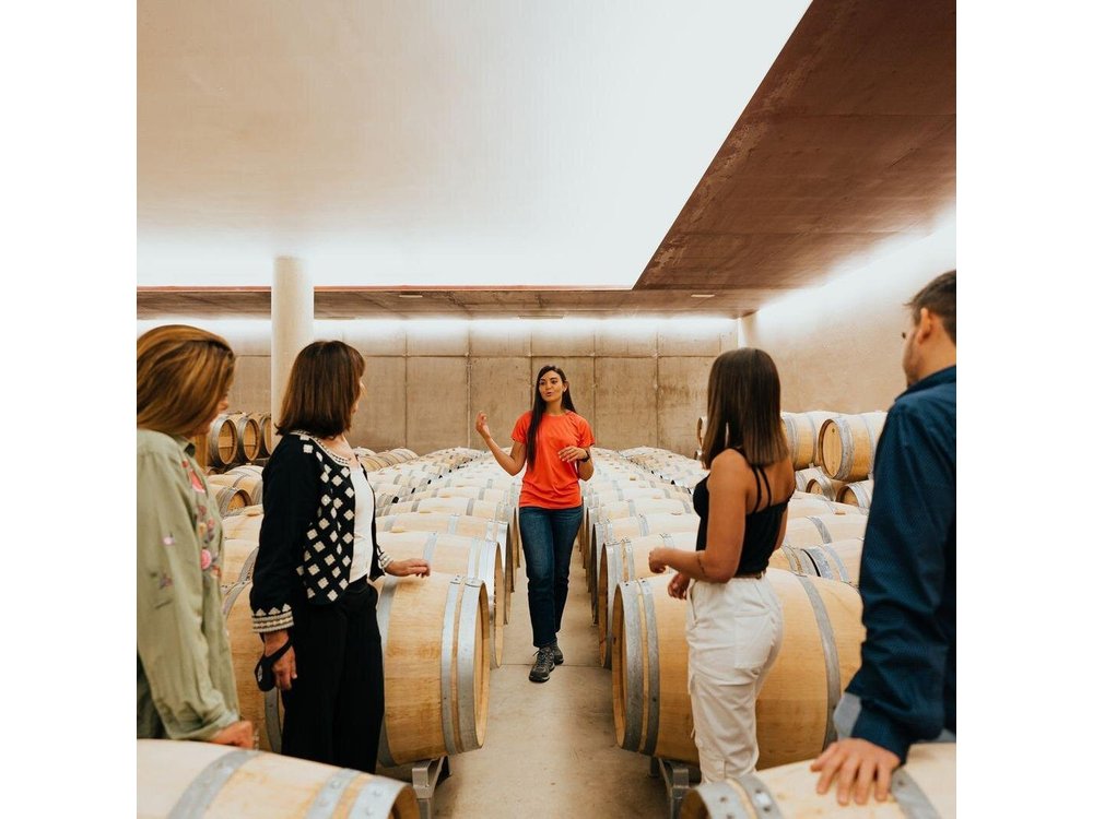 From Milan: Barolo Private Wine Tour with a Private Driver