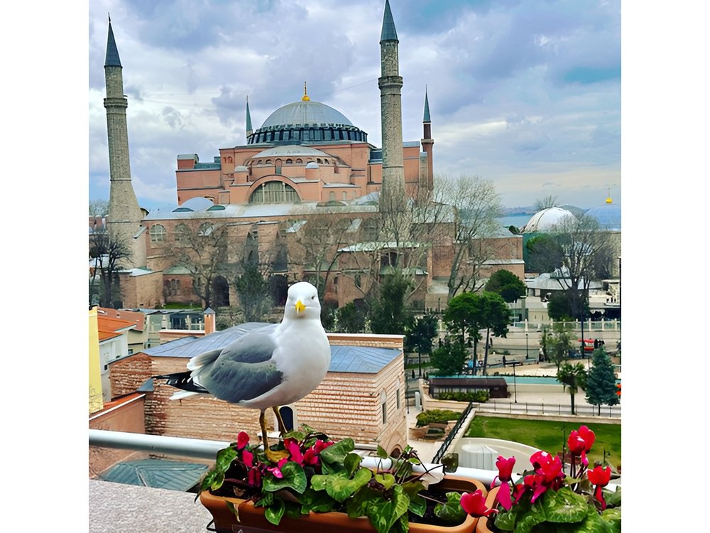 Istanbul Private Tour: Skip Lines, Hidden Gems, Local Expert