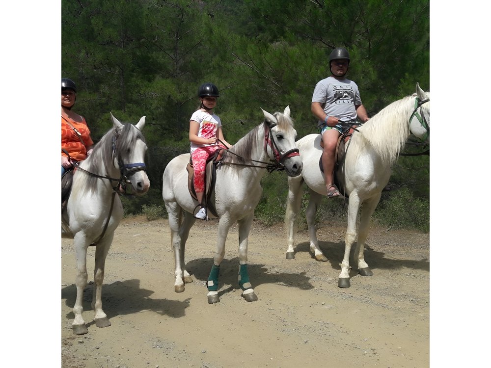 Horse Riding in Antalya,Belek,Lara Beach(Sunrise,Sunset,Day Time)