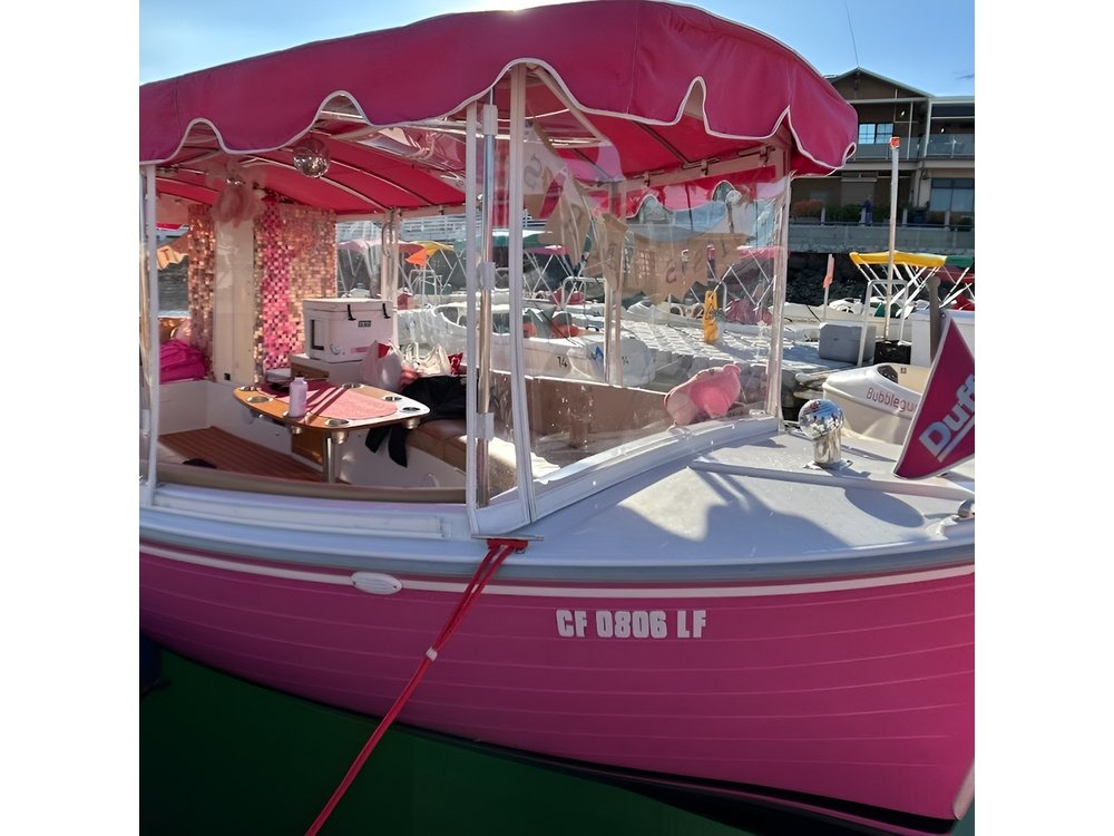 2-Hour Private Pink Bachelorette Boat Cruise in San Diego Bay