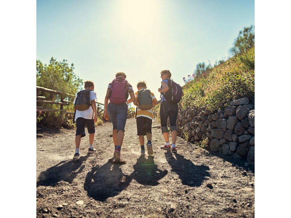 Vesuvius & Pompeii Signature Tour: Wine & Lunch from Naples