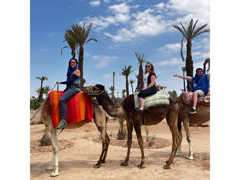 Marrakech from Casablanca with Horse Carriage and Camel ride
