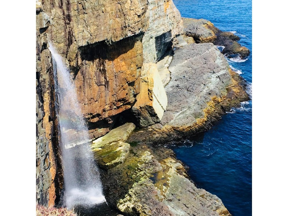 St. John's Coastal Hike with Top Local Guide Deneen