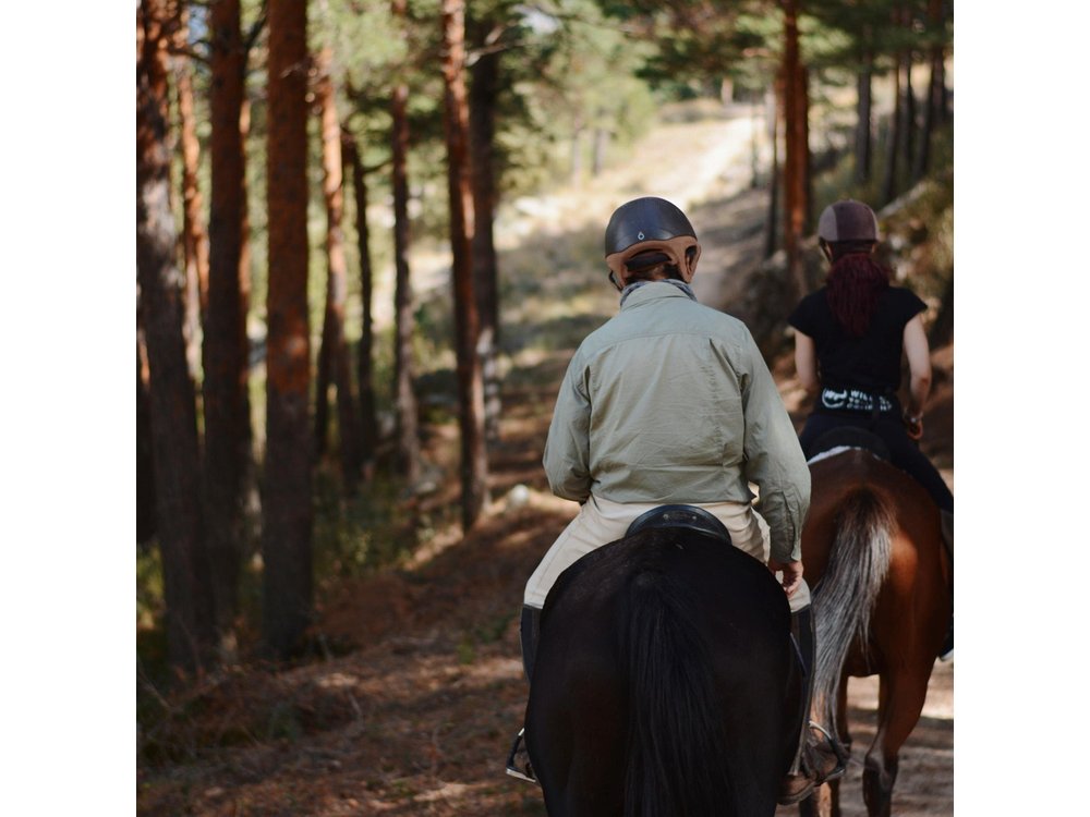 Horse Riding Madrid Natural Park Private trip
